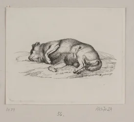 En liggende hund