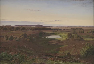 Landskab i Nordsjælland. Eftermiddag