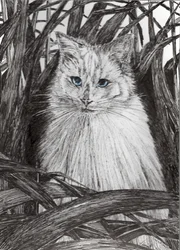 Jungle Monty, 2015, (blæk på papir)