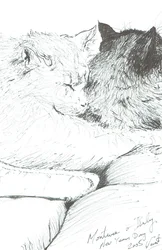 Montwee og Baby nytår 2005, 2005
