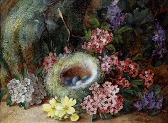 Fuglerede med blomster og primula. Maleri af Vincent Clare (ca. 1855-1930) Privat samling.