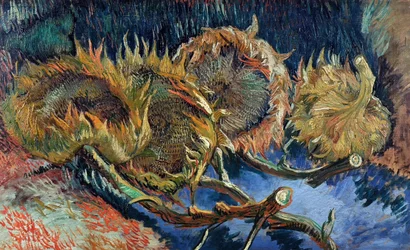 Fire skåret solsikker, 1887.