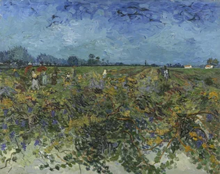Den grønne vingård, 1888.