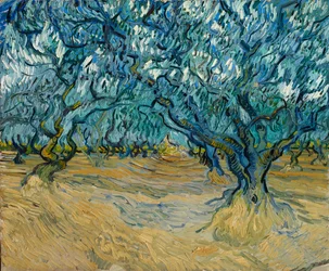 Oliventræslunden, Saint-Rémy, 1889