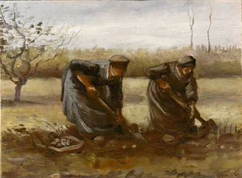 To bondekvinder graver kartofler, 1885.