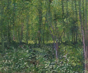 Træer og underskov. 1887