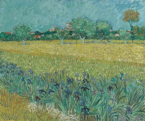 Mark med blomster nær Arles