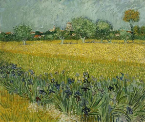 Mark med blomster nær Arles