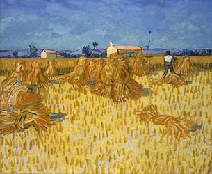 Høst i Provence
