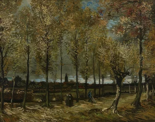 Popler nær Nuenen. 1885