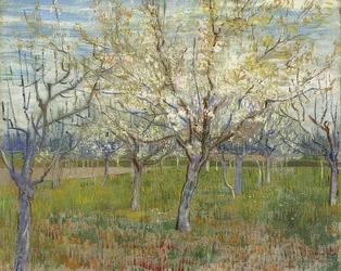 Lyserød frugthave. 1888