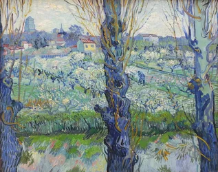 Udsigt over Arles, blomstrende frugtplantager