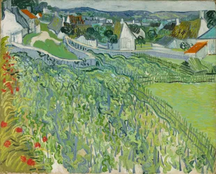Vinmarker i Auvers