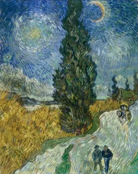 Cypressti under stjernehimlen