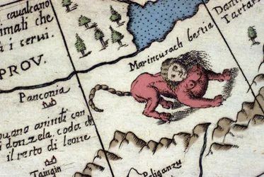 Fremstilling af en mantikore, et fabelvæsen med menneskehoved (ofte med horn, blå øjne og tre rækker tænder), skorpion- eller dragehale og løvekrop. Detalje af et verdenskort af Vincenzo Coronelli (1650-1718). 17. århundrede