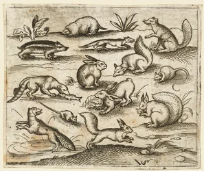 Gruppe af små skovdyr, der spiser og løber rundt om en dam, inklusive en mus..., 1557.