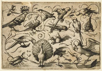 Ti fugle på små løvranker med en stork, der binder en ranke om en pelikans ben..., 1540.