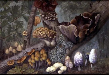 Svampe i skov (olie på panel)