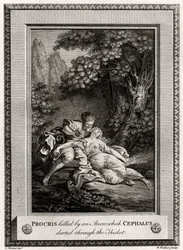 Procris dræbt af en pil, som Cephalus drønede gennem krattet, 1775