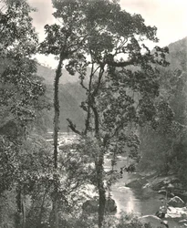 Udsigt over Kelani-floden, Kurunegala, Ceylon, 1895.