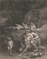 Adonis dør i Venus arme