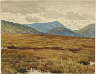 Aros Hede, øen Mull