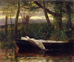 Lady of Shalott
