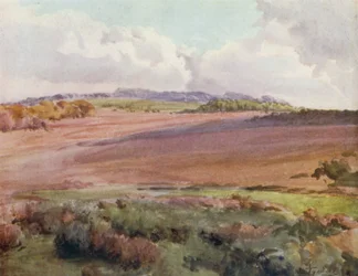 The New Forest: På tværs af Malwood Gå fra vejen til Fritham (farve litho)