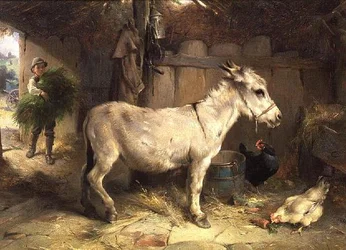 Æslet