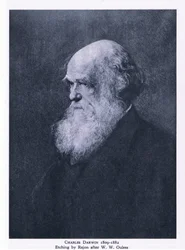 Radering af Charles Darwin, Nature in Britain udgivet af Collins
