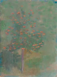 frugttræ