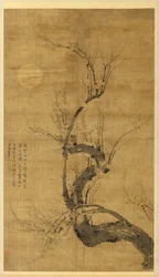 En Prunus i måneskin