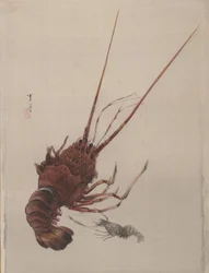 Krebs, ca. 1887.