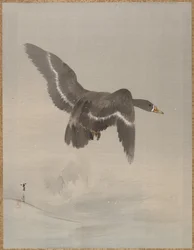 Flyvende gås, ca. 1887.