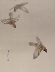 Sparrows Flying, ca. 1887.
