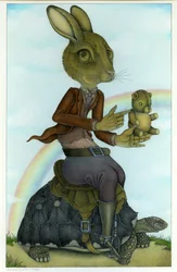 Haren og skildpadden