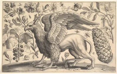 A Griffin, 1625-77.