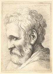 Skægget gammel mand, 1645.