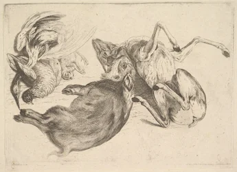 Orne, rådyr, hejre og andet vildt, 1625-77.