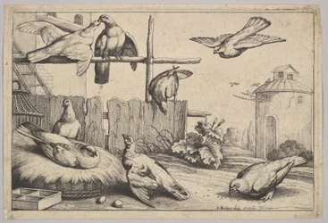 Otte duer, 1625-77.