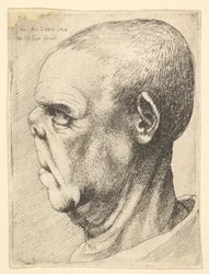 Grotesk gammel mand med fladtrykt næse i venstre profil, 1625-77