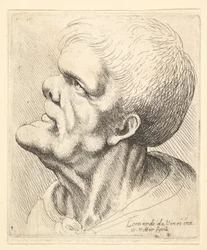 Hovedet af en mand med udstående hage og næse, der ser opad i profil til venstre, 1625-77.