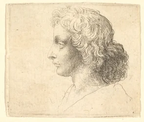 Hoved af ung mand med langt hår i profil til venstre, 1644-52.