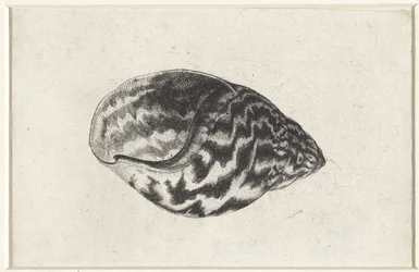 Skal, achatina achatina Skaller (serietitel)