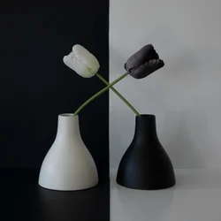 Balance af sorte og hvide tulipaner