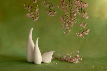 Vaser med kirsebærblomster