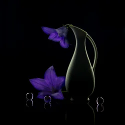 Lilla blomster – mørk elegance