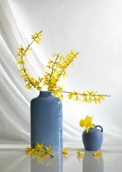 Gule blomster i blå vaser