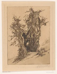 Hult træ ved Seelisberg i Schweiz Hollow Tree (original titel)