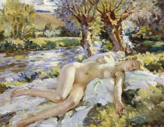 Sommer på Avon